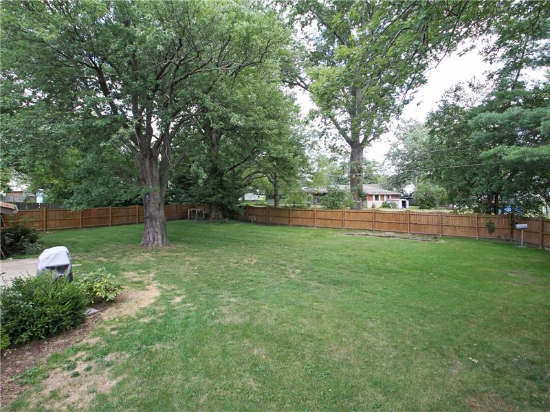 Back yard