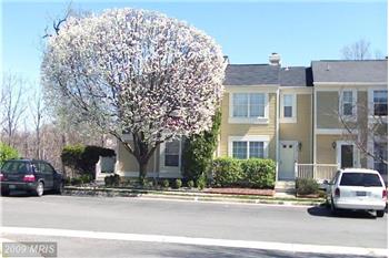 Primary listing photos for listing ID 492261