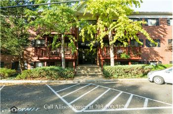 Primary listing photos for listing ID 495184