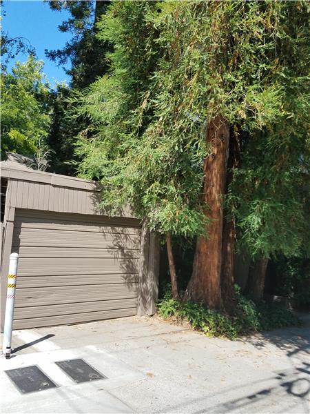 Located with alley access you have no homes on one side. The luscious landscaping and tall trees shade the home.