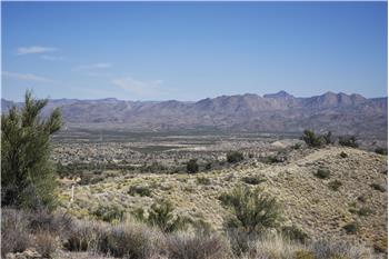 Primary listing photos for listing ID 492950