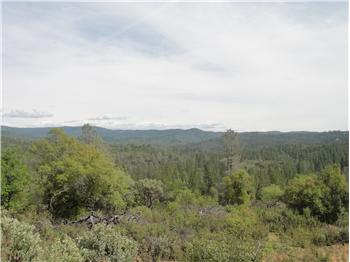 Primary listing photos for listing ID 407190