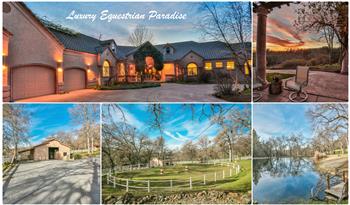 Primary listing photos for listing ID 499650