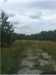 Primary listing photos for listing ID 517294