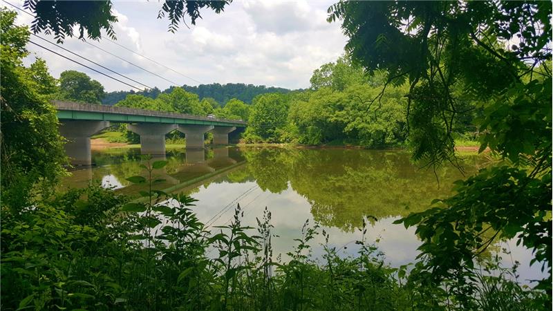 view of bridge across river, summer scene