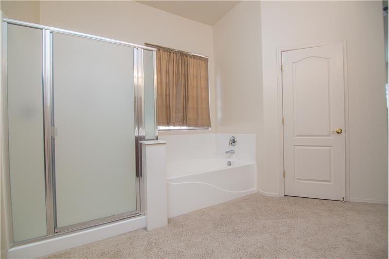 Tub and Shower Area