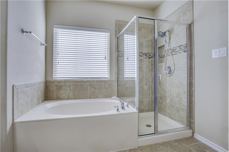 Separate Shower and garden tub