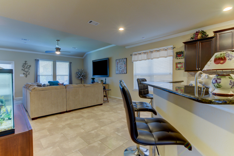 Open View into Home and Breakfast Bar