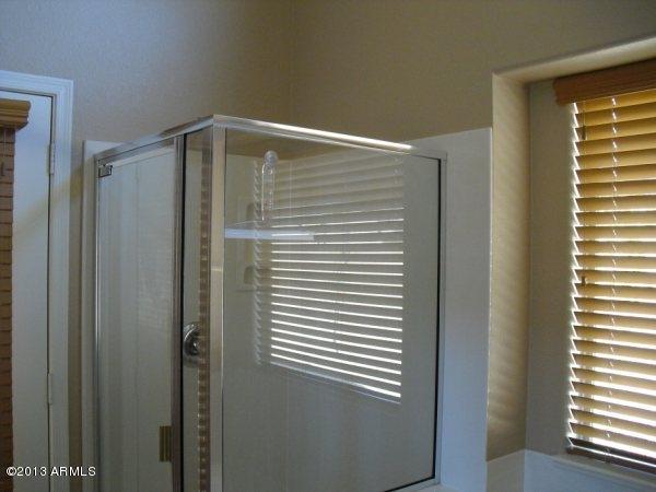Master bath shower