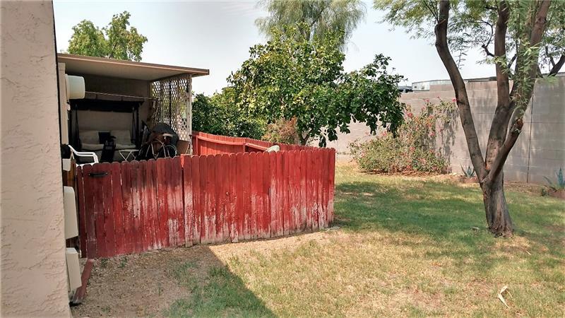 Back yard-patio