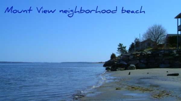 Mount View neighborhood beach