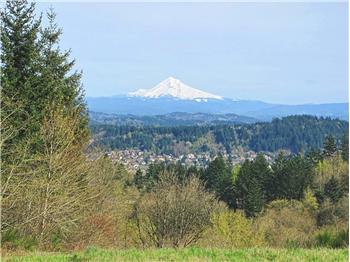 Primary listing photos for listing ID 497066