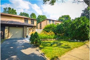 Primary listing photos for listing ID 427137