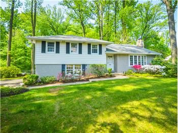 Primary listing photos for listing ID 439593