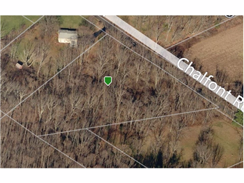 Primary listing photos for listing ID 456737