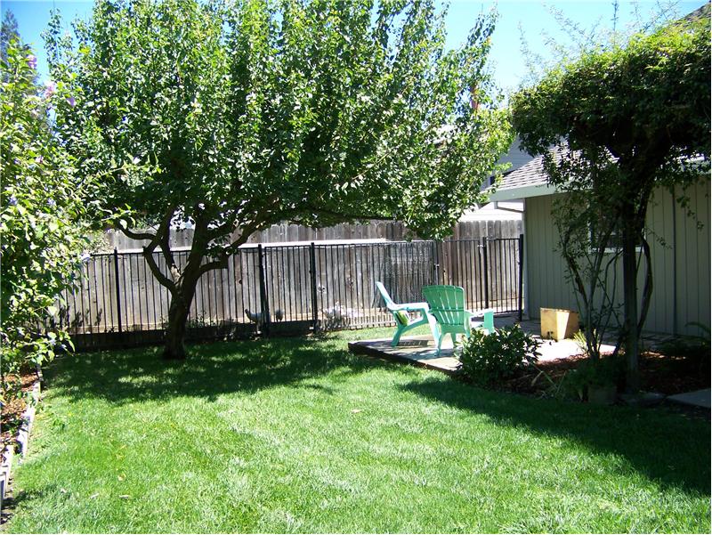 Fruit tree and garden area