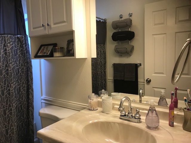 Guest bath