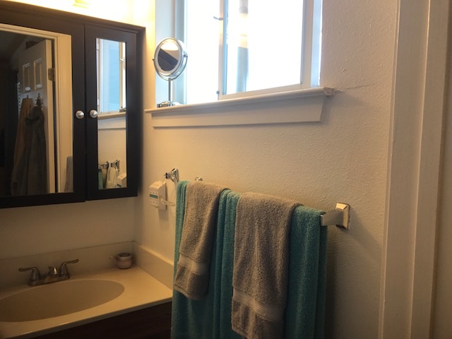 Master bathroom with window