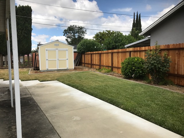 Backyard