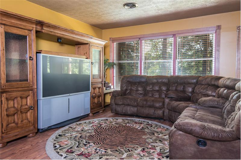 Den Lower Level