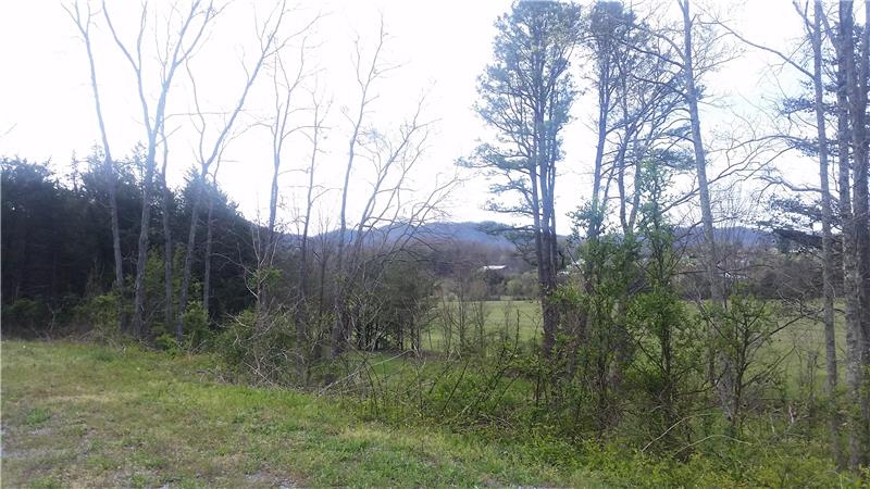Cherokee National Forest views