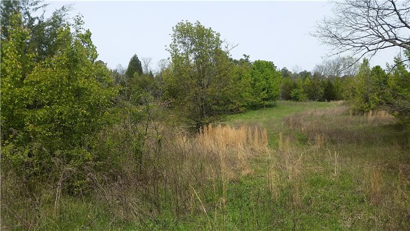 Perimeter Fenced