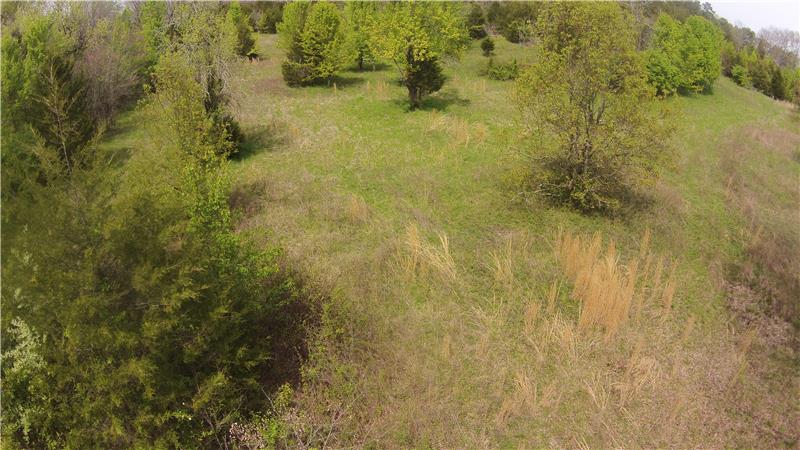 11.75 Acres