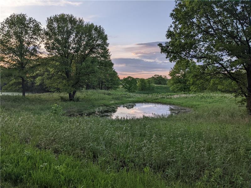 
                            Property Image 46