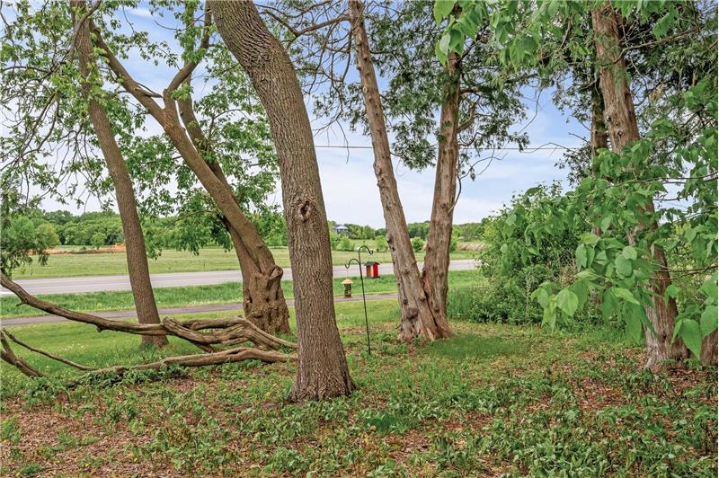 
                            Property Image 50