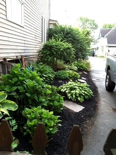 Landscaping
