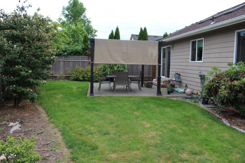 Back Patio