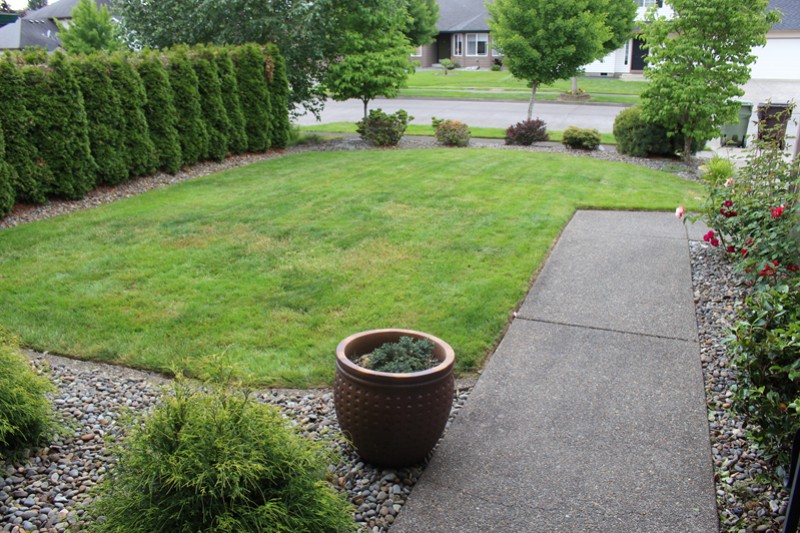 Front Yard