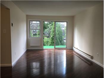 Primary listing photos for listing ID 519404