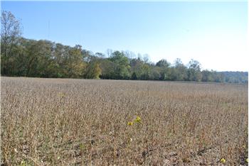 Primary listing photos for listing ID 472251