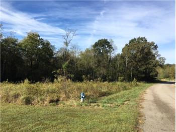 Primary listing photos for listing ID 490558