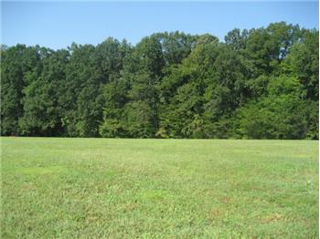 Primary listing photos for listing ID 497691