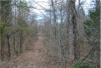 Primary listing photos for listing ID 503163