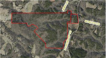 Primary listing photos for listing ID 519383