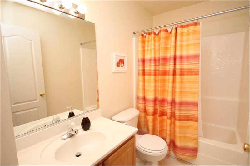 Large guest bath