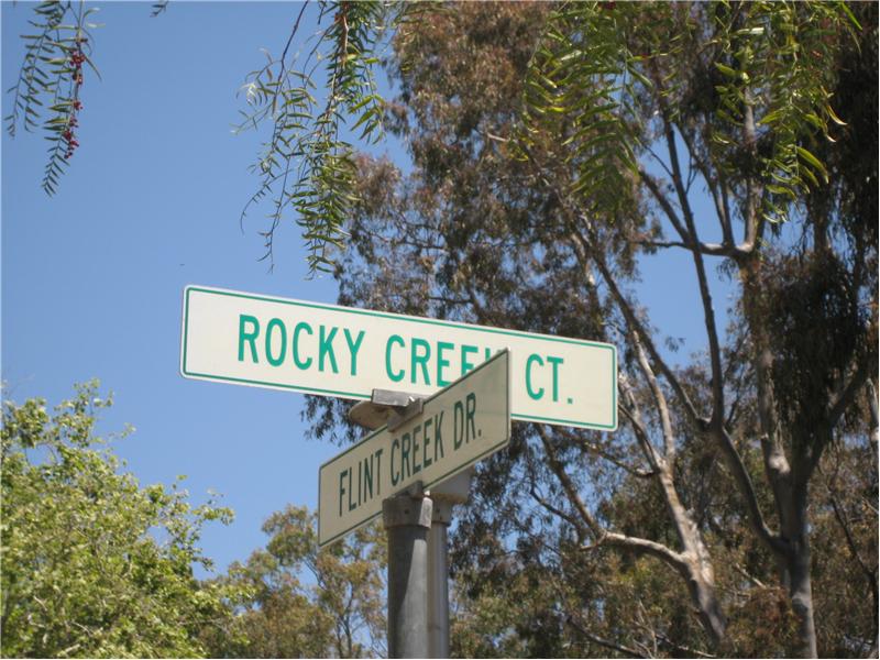3696 Rocky Creek Court at Flint Creek drive