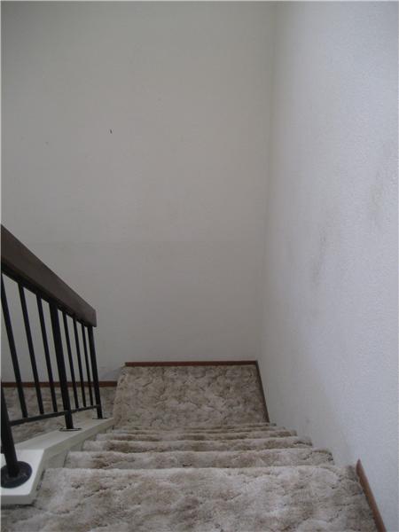 Stairs Leading Down