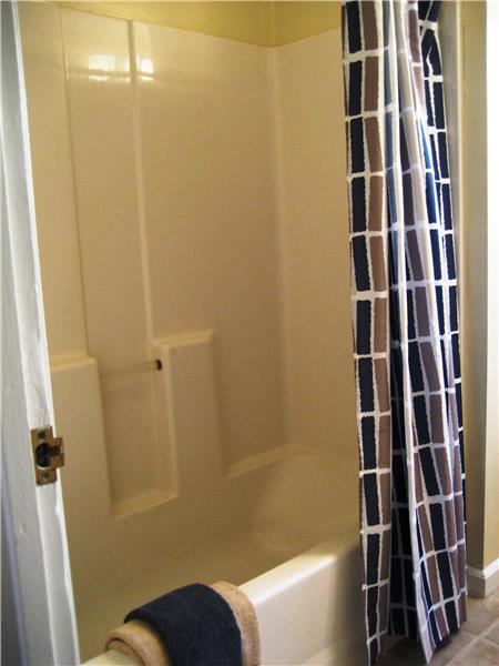 Tub with Shower Overhead