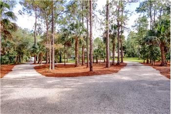 Primary listing photos for listing ID 423169