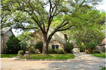 Primary listing photos for listing ID 445510