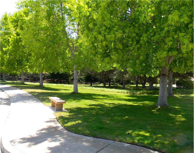 This is the open space across the street from the house