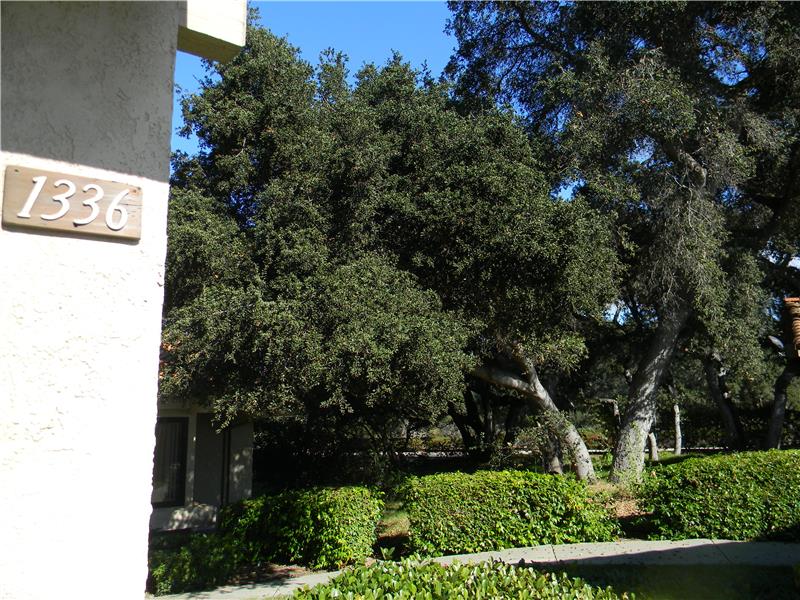 Side of the house