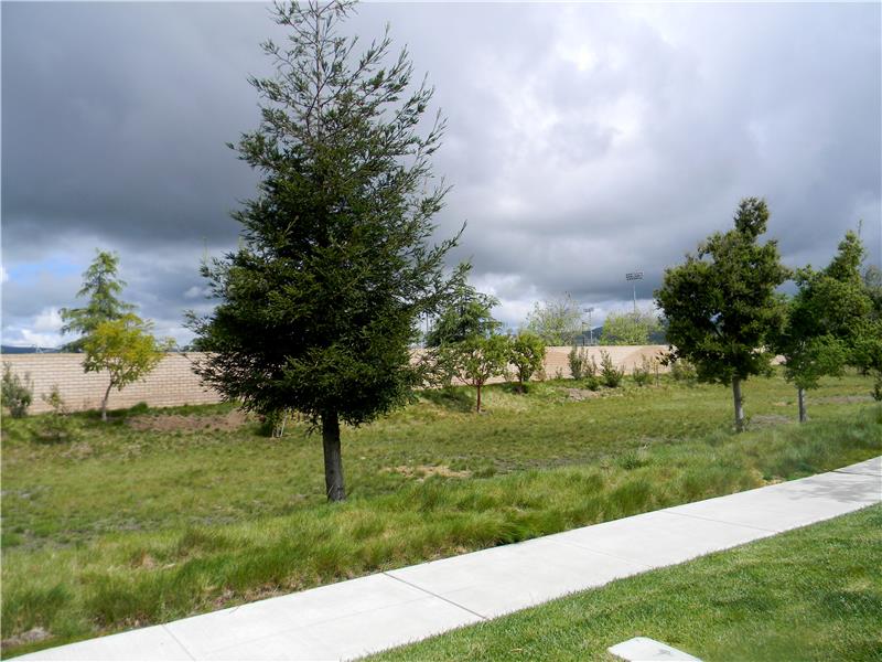 Open area across the street