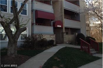 Primary listing photos for listing ID 434945