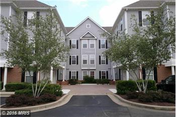 Primary listing photos for listing ID 452318