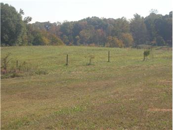 Primary listing photos for listing ID 459343